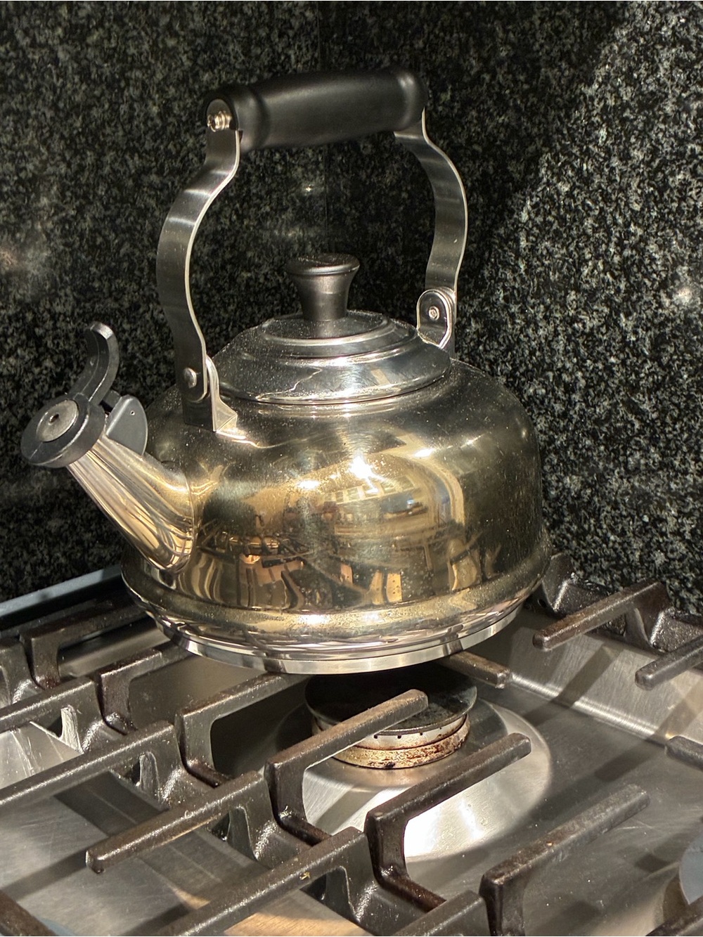 Never Used! Le Creuset Stainless Steel Tea Kettle
